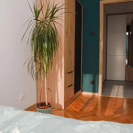Zielona Przystan Apartment